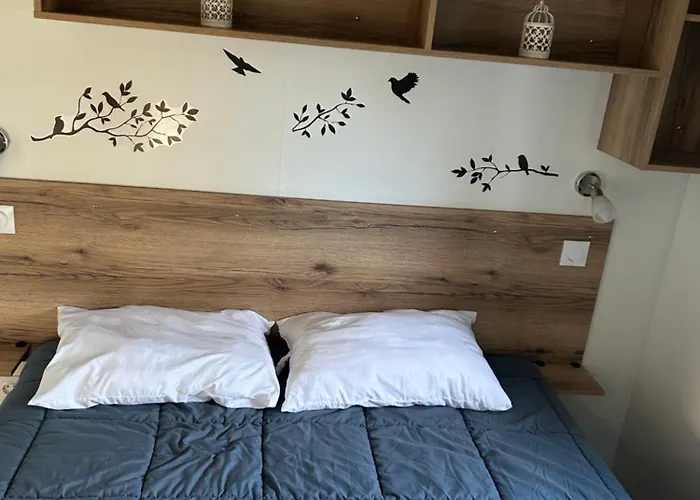 Mobilhome La Palmyre Les Mathes